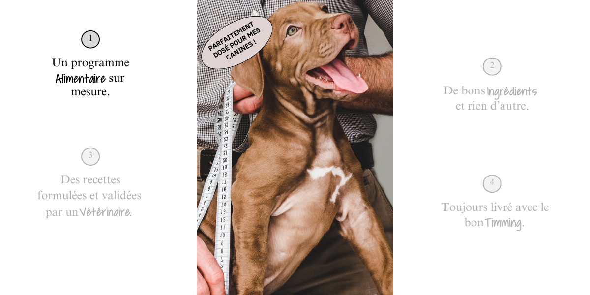 concept en 4 point 1_4