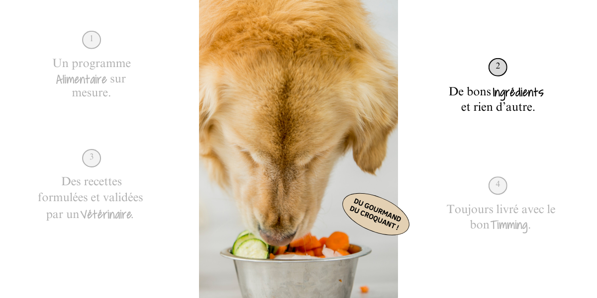 concept en 4 point 2_4