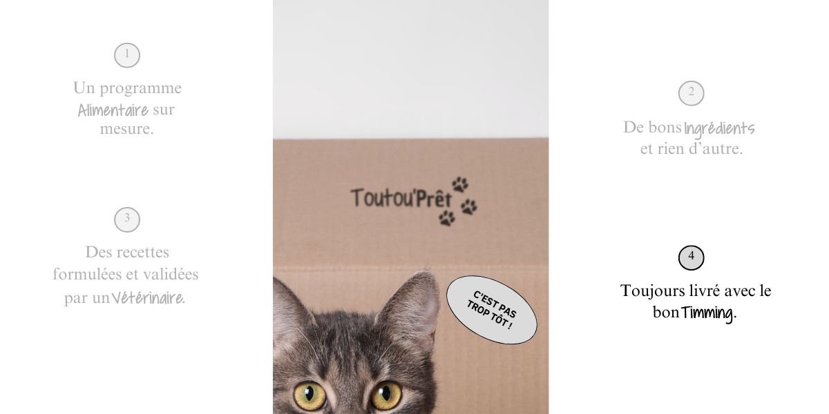 concept en 4 point 4_4