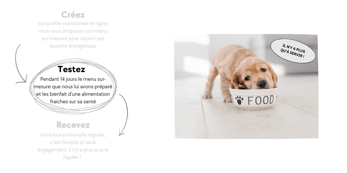 etapes commande 2_3vf